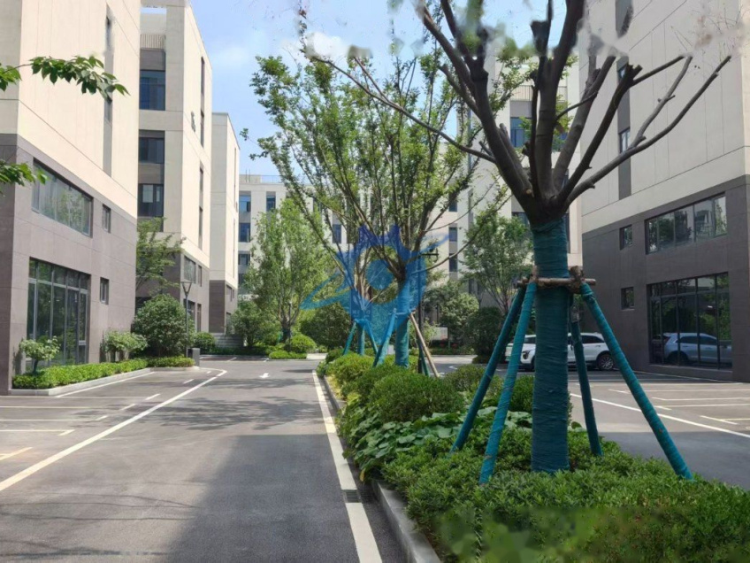 中牟新区国资产业园独栋厂房出售