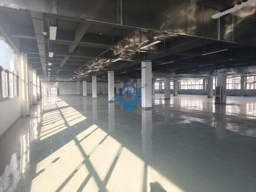 港区标准厂房直租每层1500-3000㎡可洽谈租金产业配套扶持政策