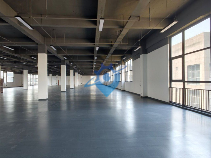 港区标准厂房直租每层1500-3000㎡可洽谈租金产业配套扶持政策